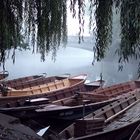 Tübingen Stocherkähne im Herbst