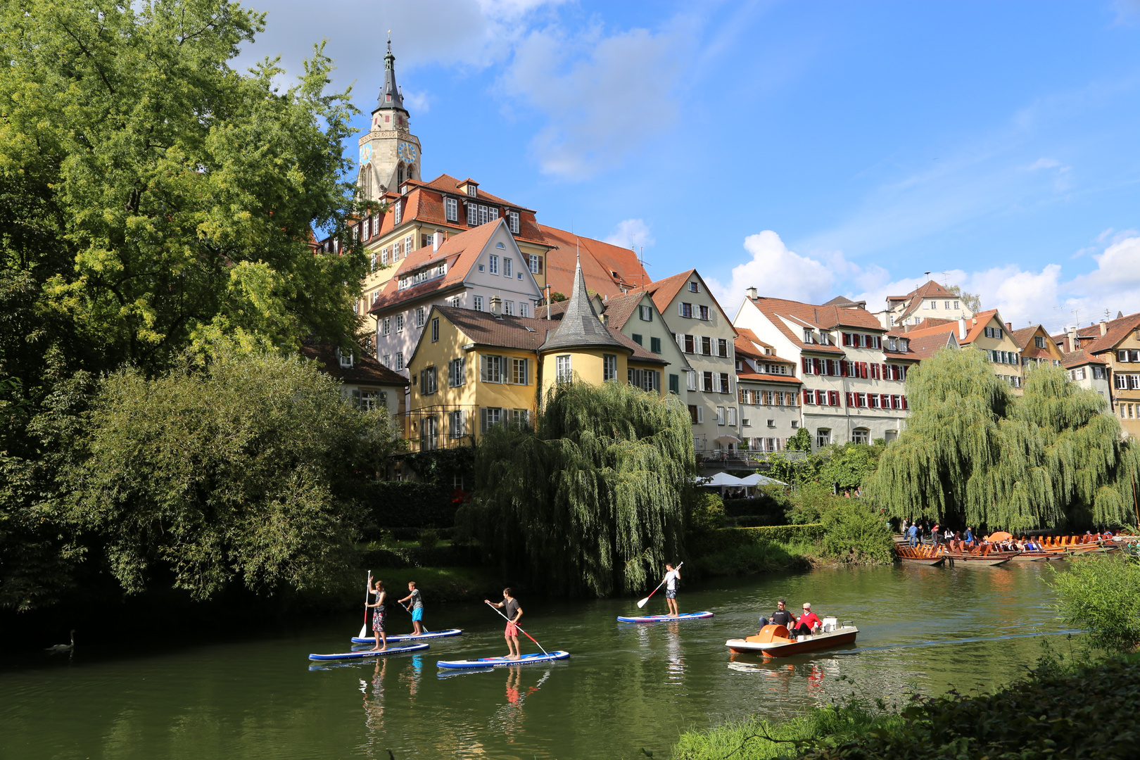 Tübingen XI