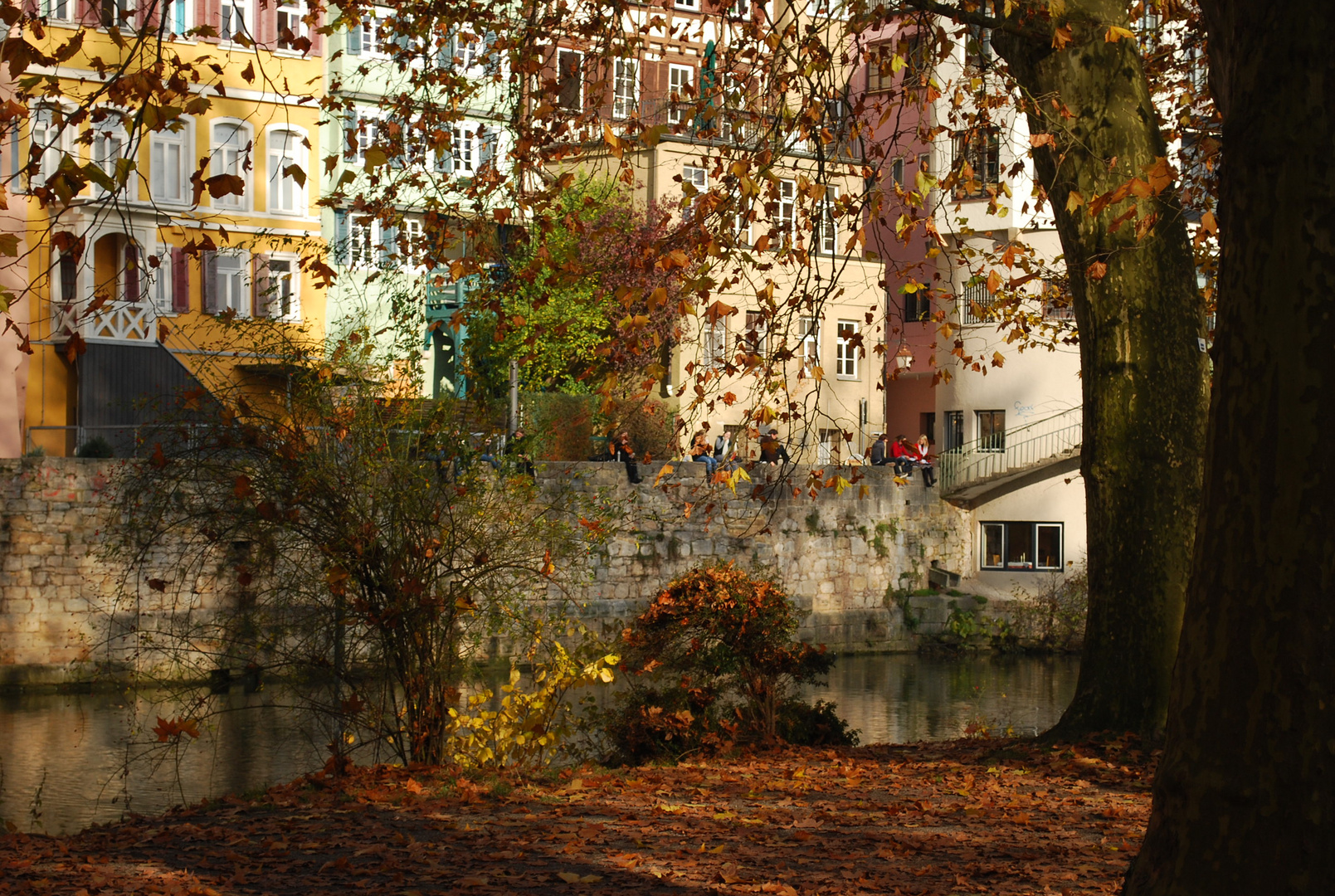 Tübinger Herbst II