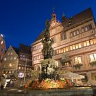 Tübinger Rathaus und Marktbrunnen bei Nacht