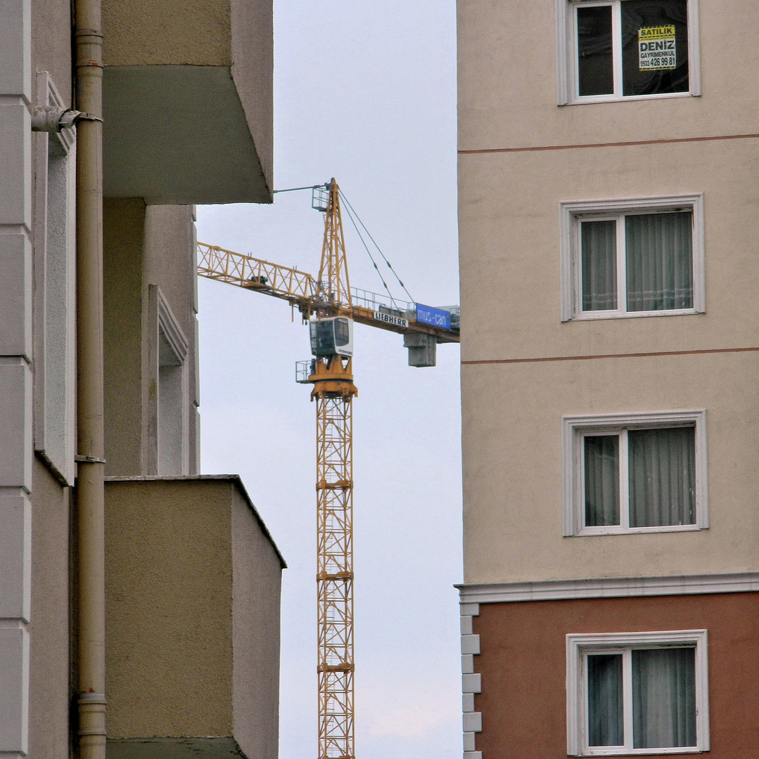 Tüchtig am Bauen