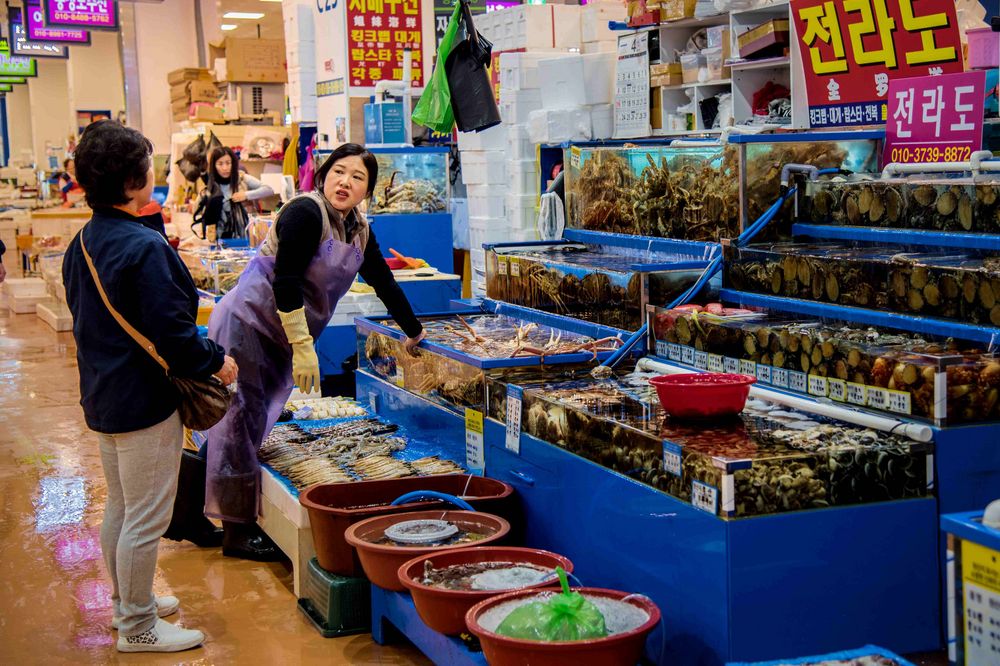 Tüchtige Fischverkäuferin in Busan