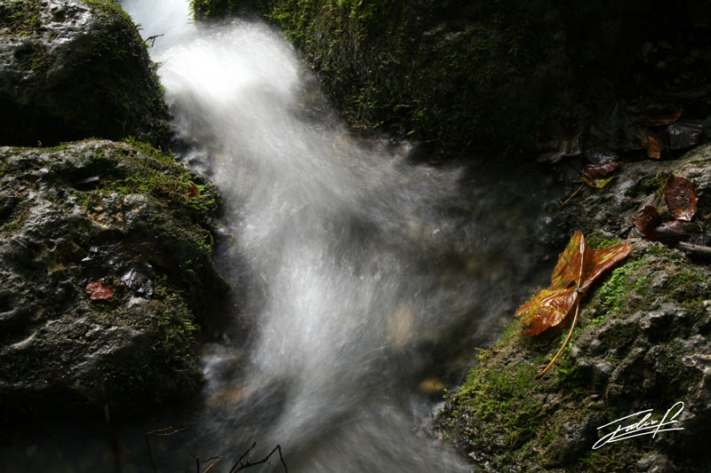 Tüfels Chilen I