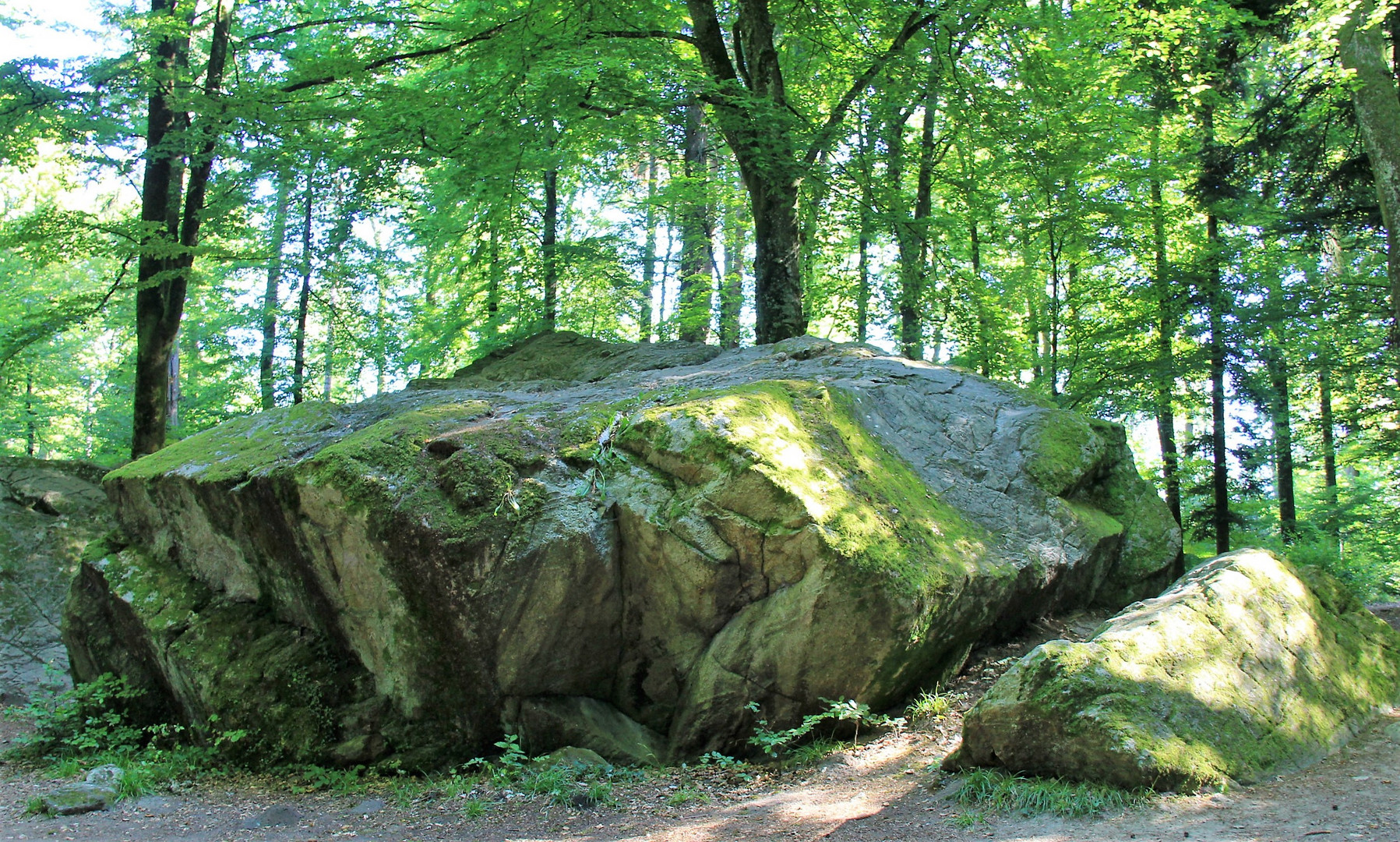 Tüfelsburdi auf dem Jolimont (CH)