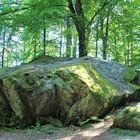 Tüfelsburdi auf dem Jolimont (CH)