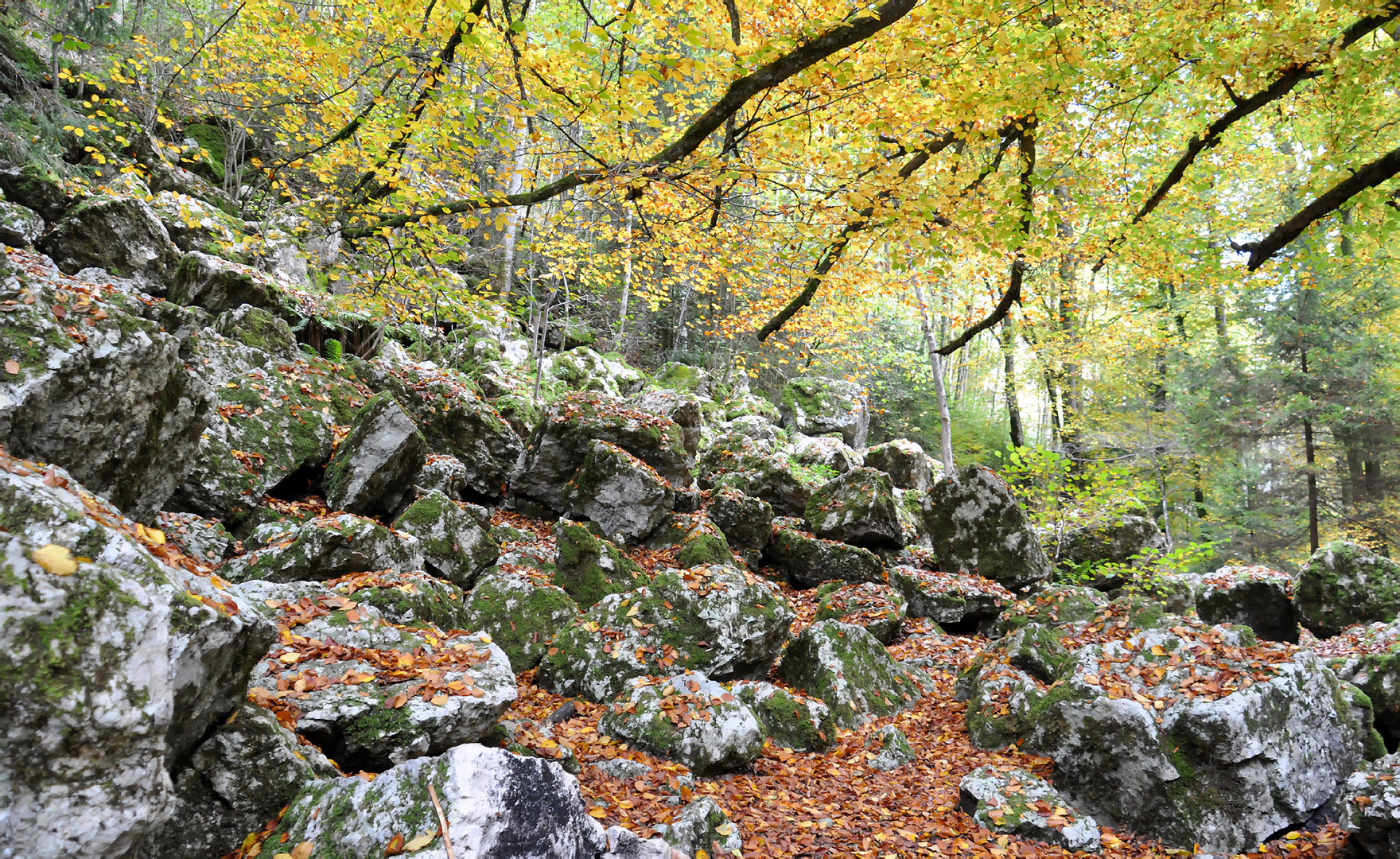 Tüfelsschlucht 