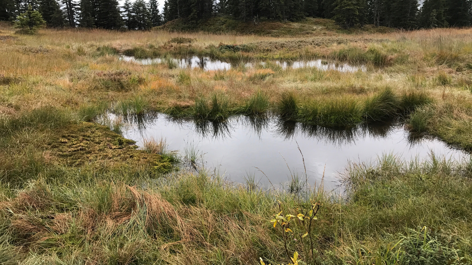 Tümpel Foto & Bild landschaft, berge, bergseen Bilder auf