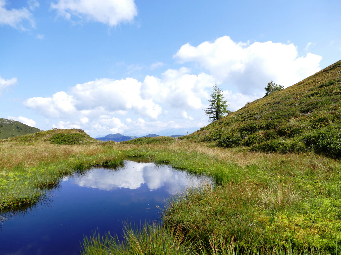 Tümpel auf ca. 2000 m in den Großarler Bergen