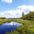 Tümpel auf ca. 2000 m in den Großarler Bergen