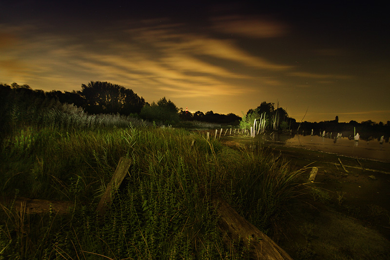 Tümpel bei Nacht