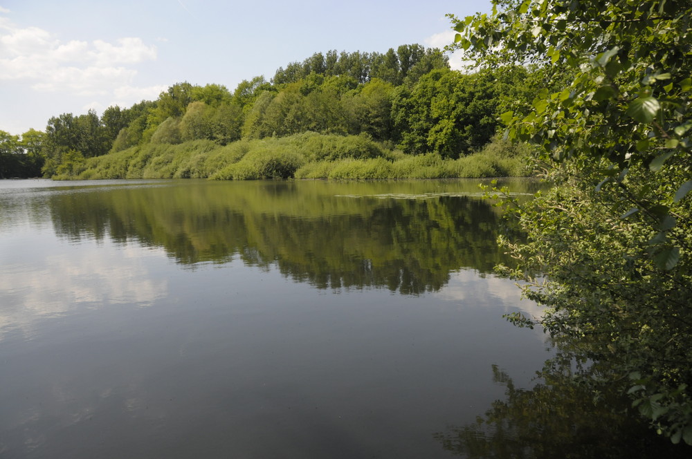 Tümpel der Ruhe