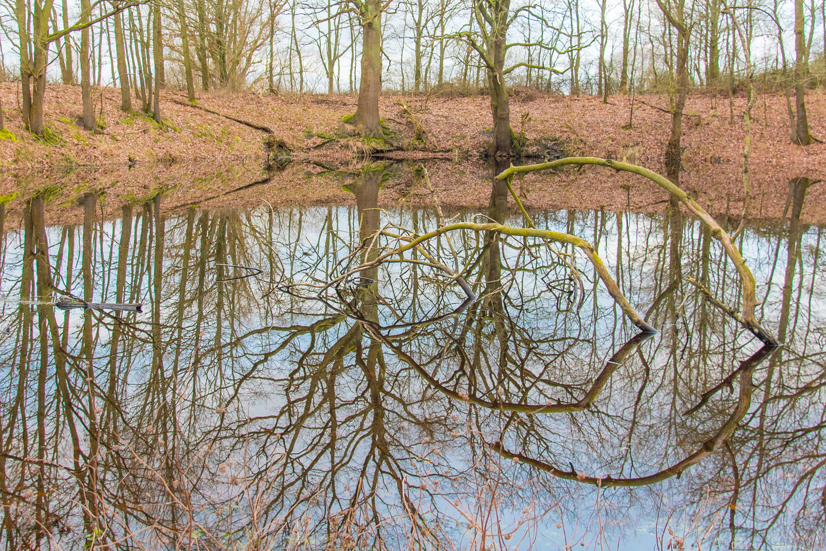 Tümpel im Winter 