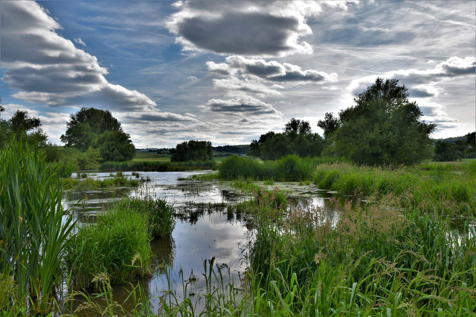 Tümpel in den Thürer WiesenDSC_2156 Foto & Bild landschaft, bach
