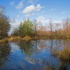 Tümpel in der Drover Heide