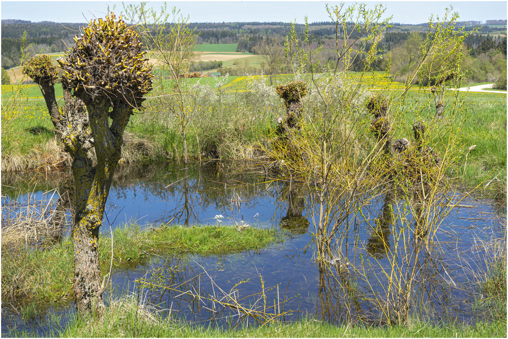 Tümpel mit Aussicht