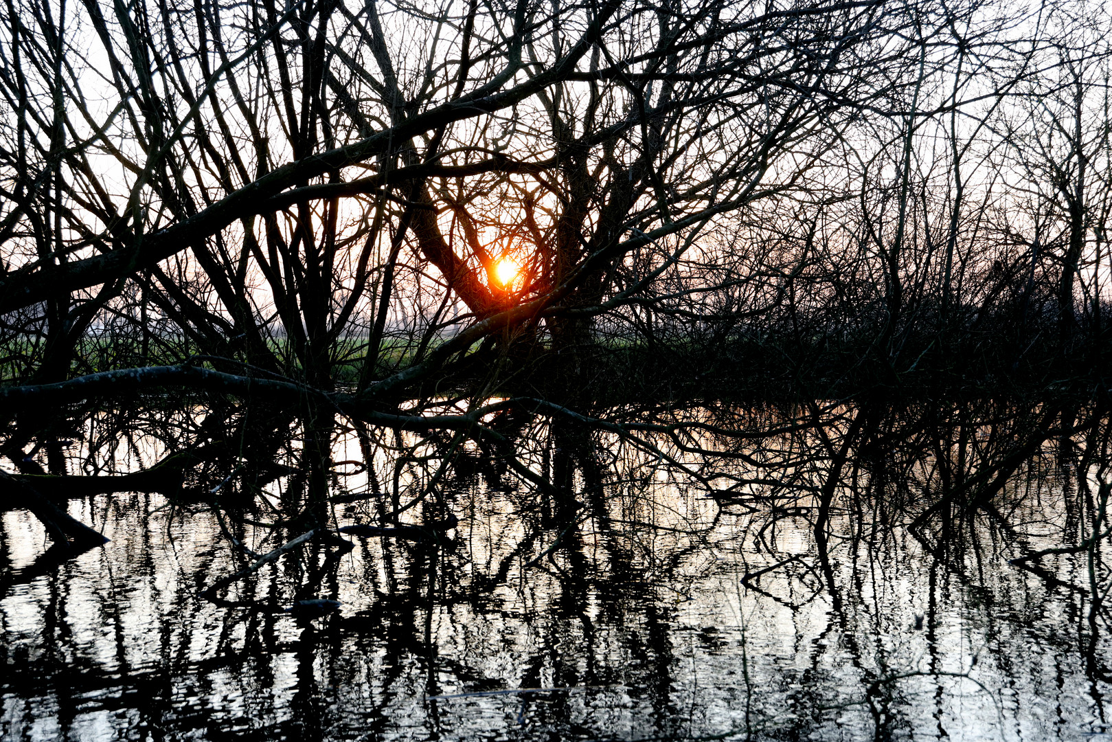 Tümpel-Wasser-Spiegel