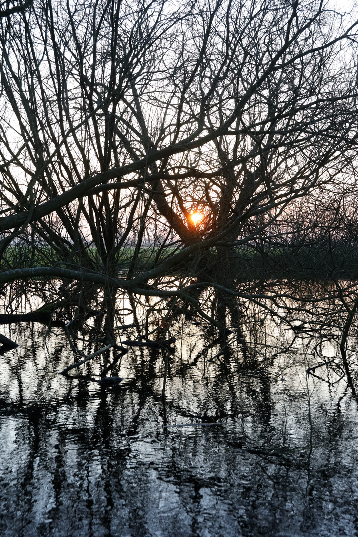 Tümpel-Wasser-Spiegel II