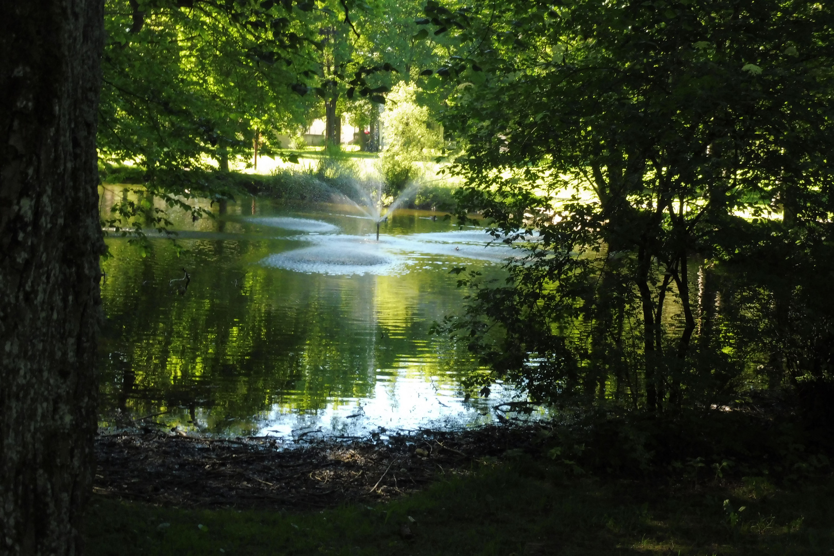 Tümpelchen im Schlosspark Kisslegg