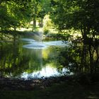 Tümpelchen im Schlosspark Kisslegg