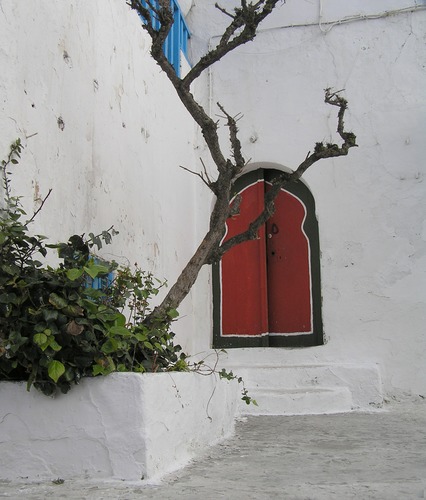 Türen in Sidi Bou Said