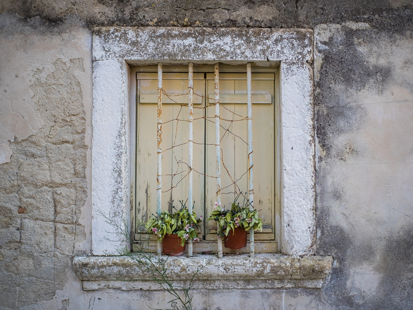 "Türen und Fenster 2"