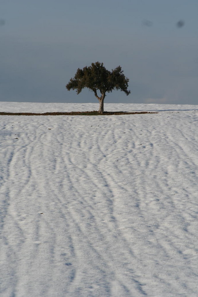 Türkei im Winter