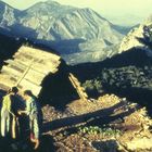 Türkei1964 (1):bei Termessos im Taurusgebirge