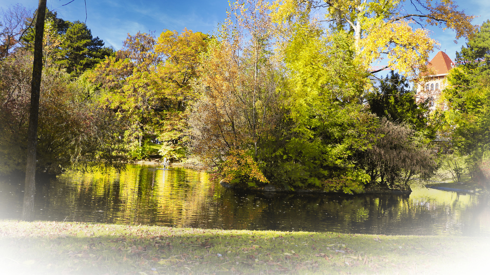 Türkenschanzpark Wien