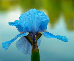 türkis bis himmelblau