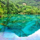 Türkis-grüne Reflektion... China Sichuan