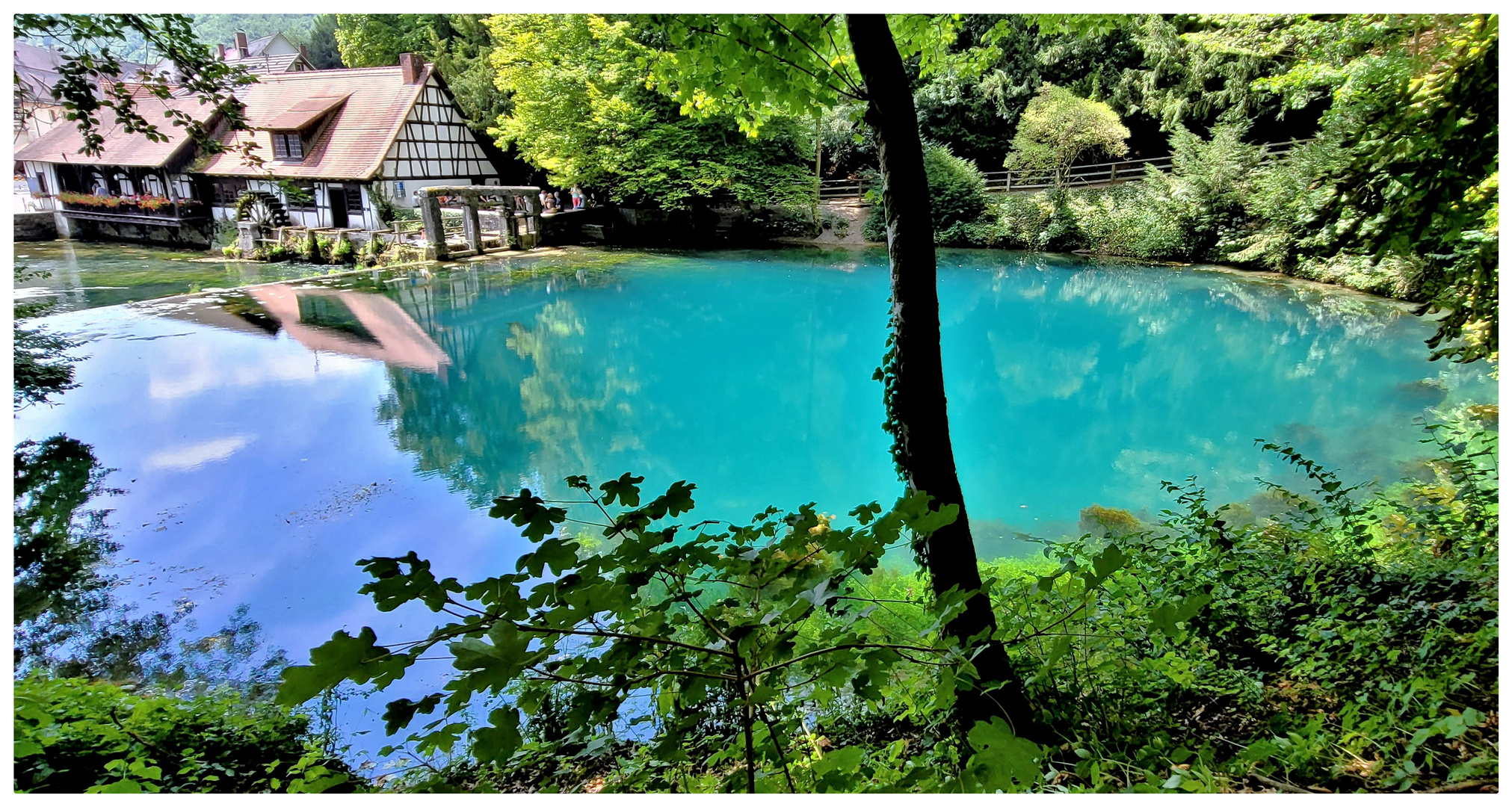 Türkis statt blau