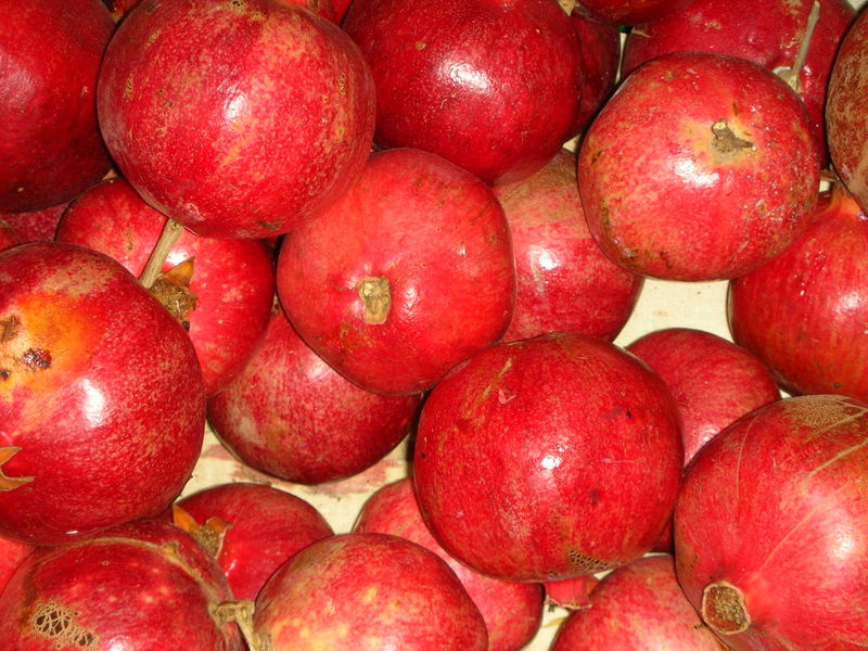 türkische Granatäpfel