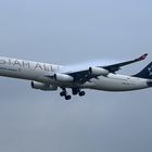 Türkischer Sternenflieger... da ist das Wetter egal!