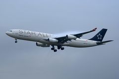 Türkischer Sternenflieger... da ist das Wetter egal!