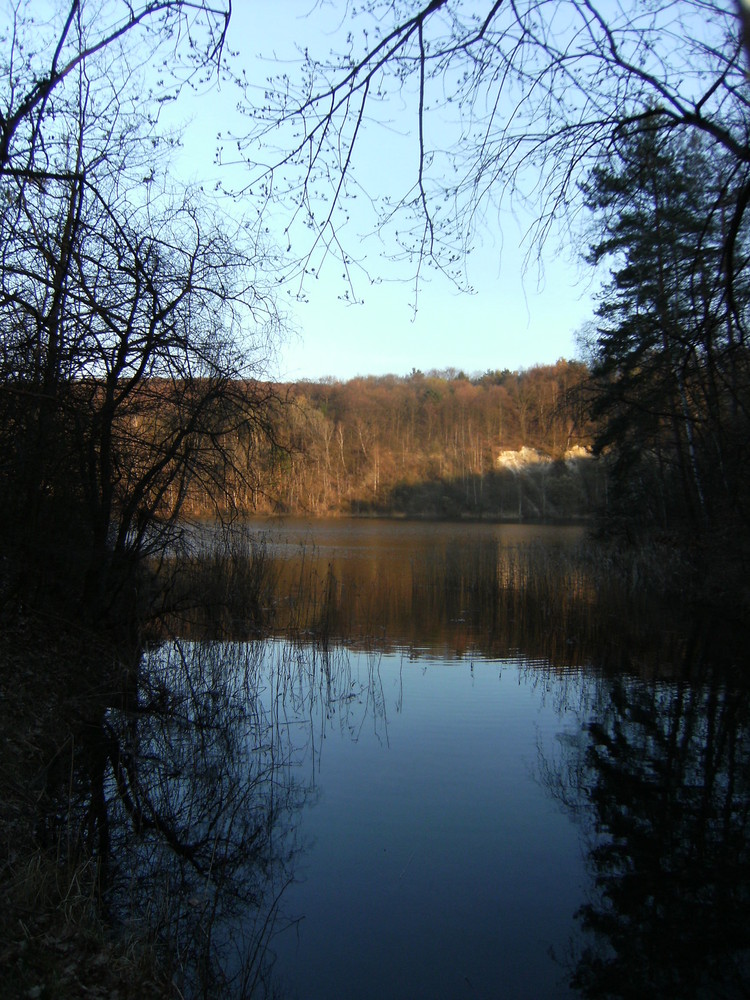 Türkissee - Blick zwischen den Bäumen, Insel Wolin