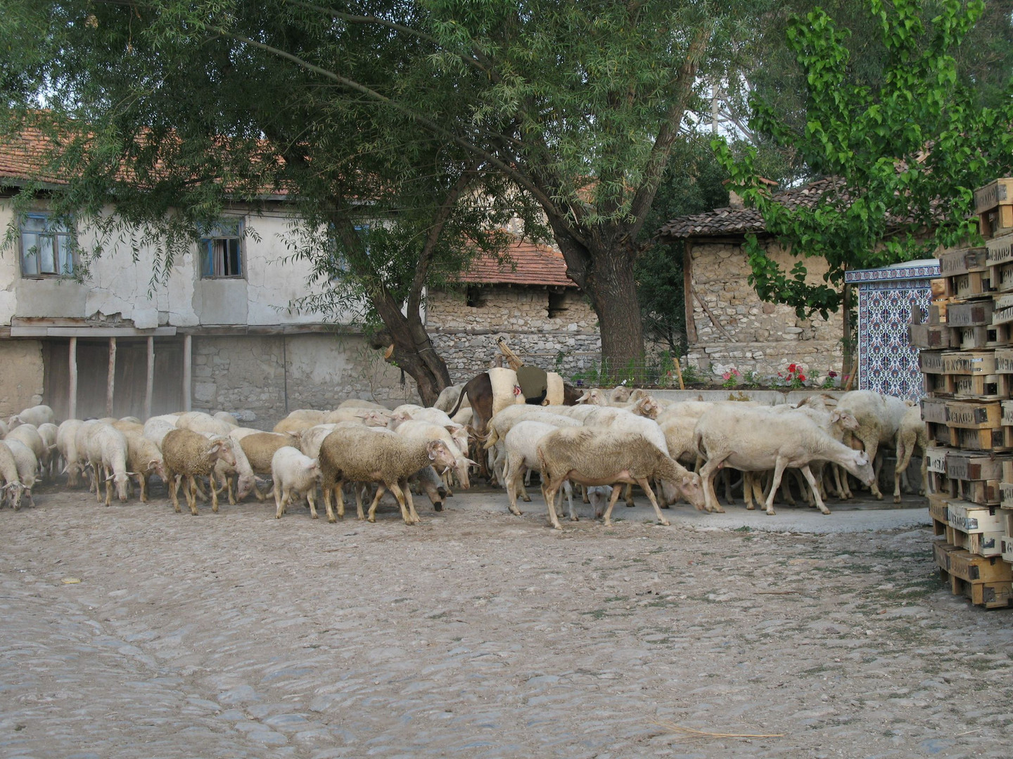 Türkiye