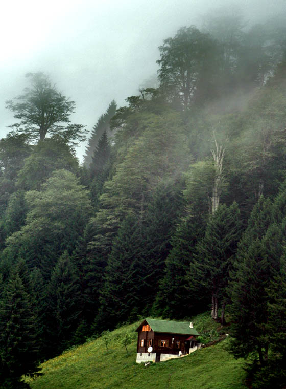 TÜRKÝYE-RÝZE-AYDER