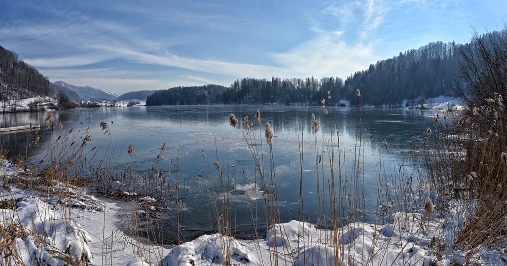 Türler On Ice