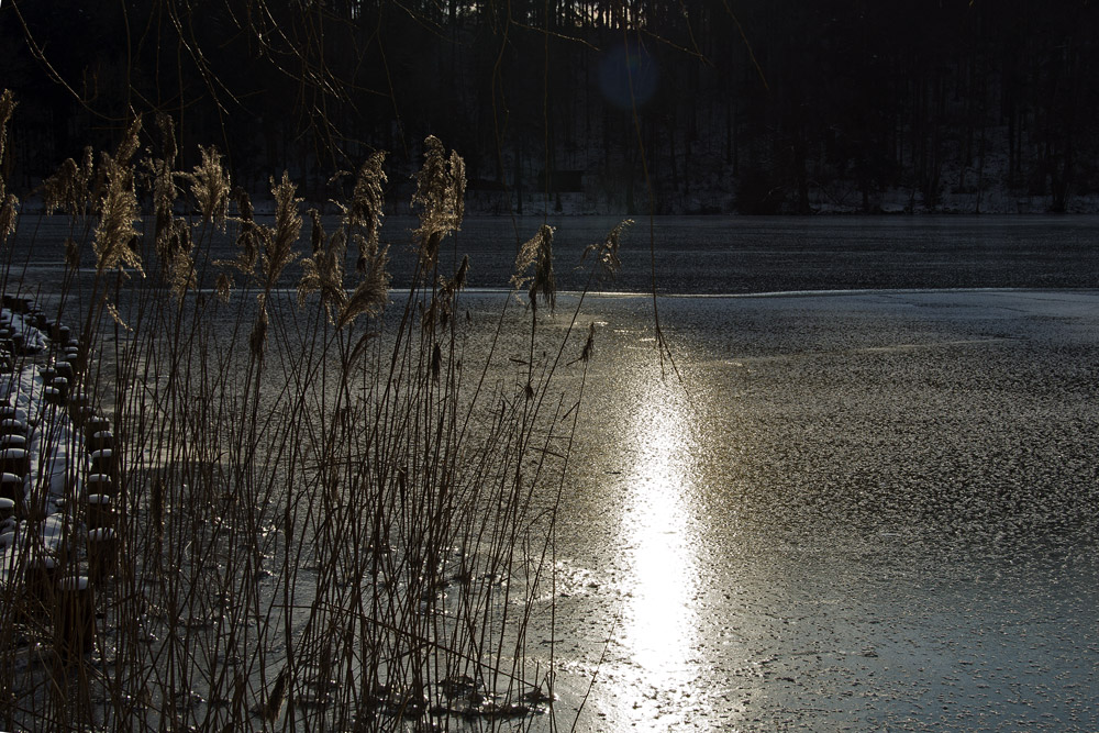 Türlersee 2