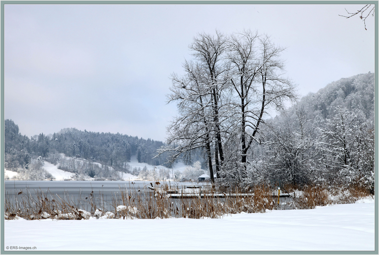 Türlersee 2019-02-04 267 (1) ©