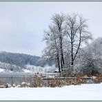 Türlersee 2019-02-04 267 (1) ©