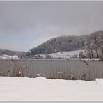 Türlersee 2019-02-04 267 (51.1) ©