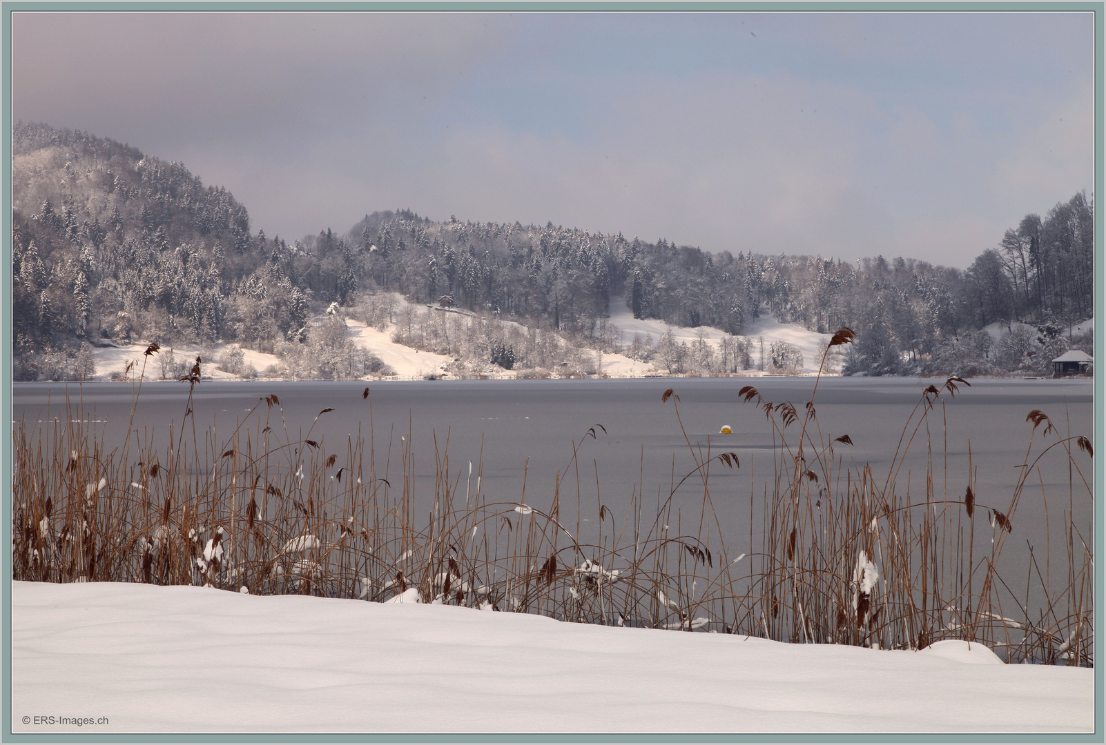 Türlersee 2019-02-04 267 (52.1) ©