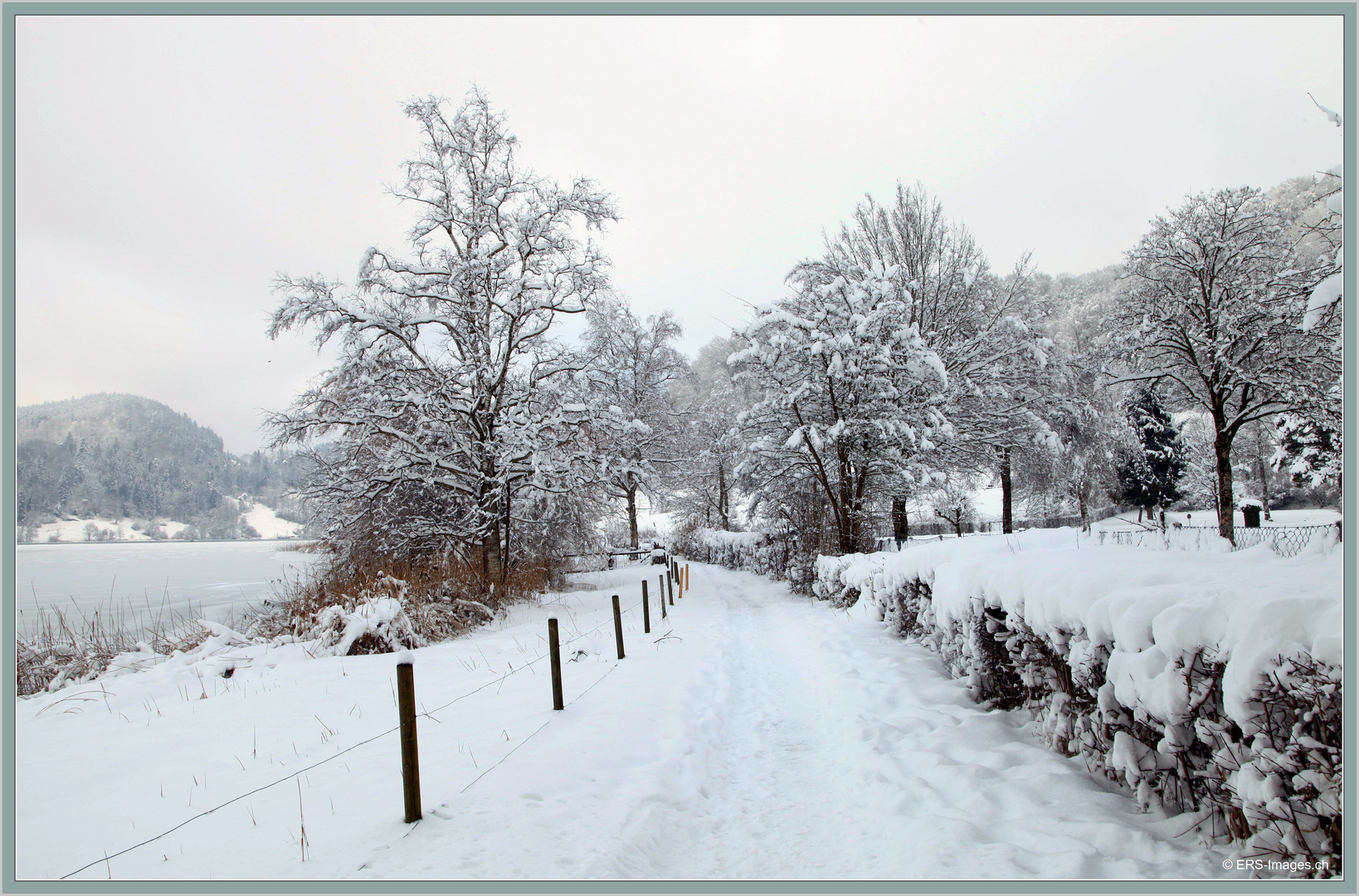 Türlersee 2019-02-04 267 (53) ©