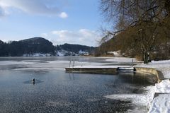 Türlersee 3