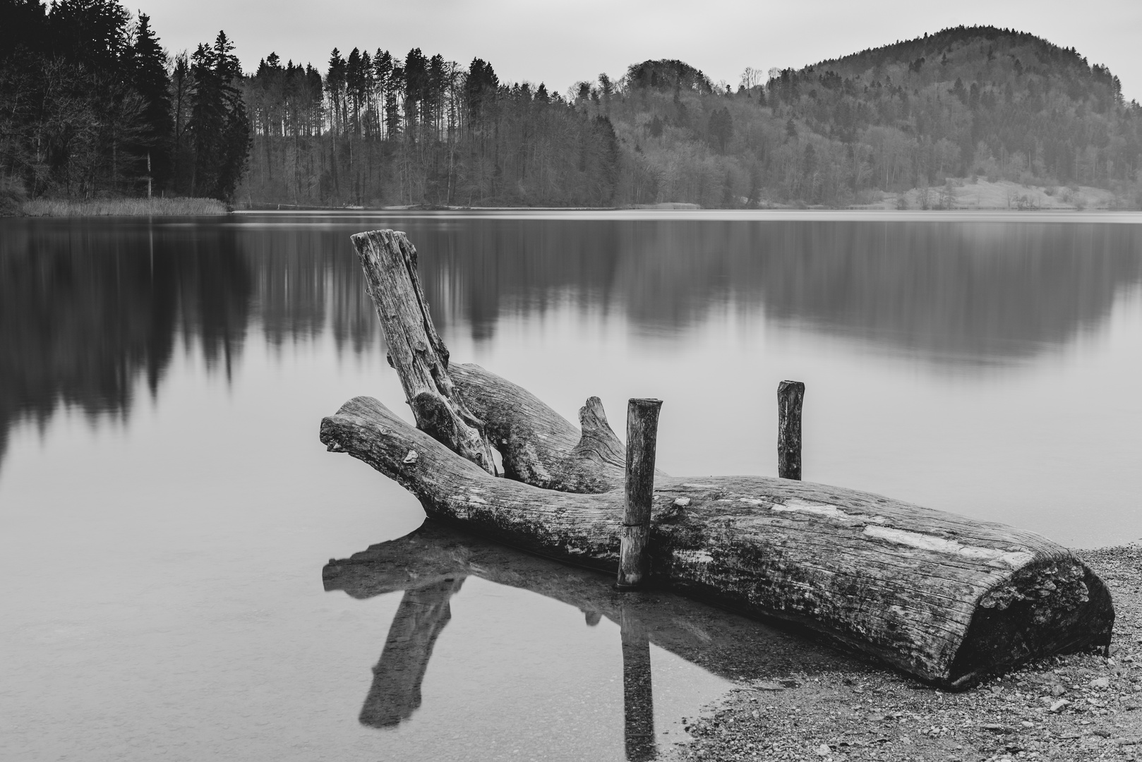 Türlersee