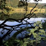 Türlersee