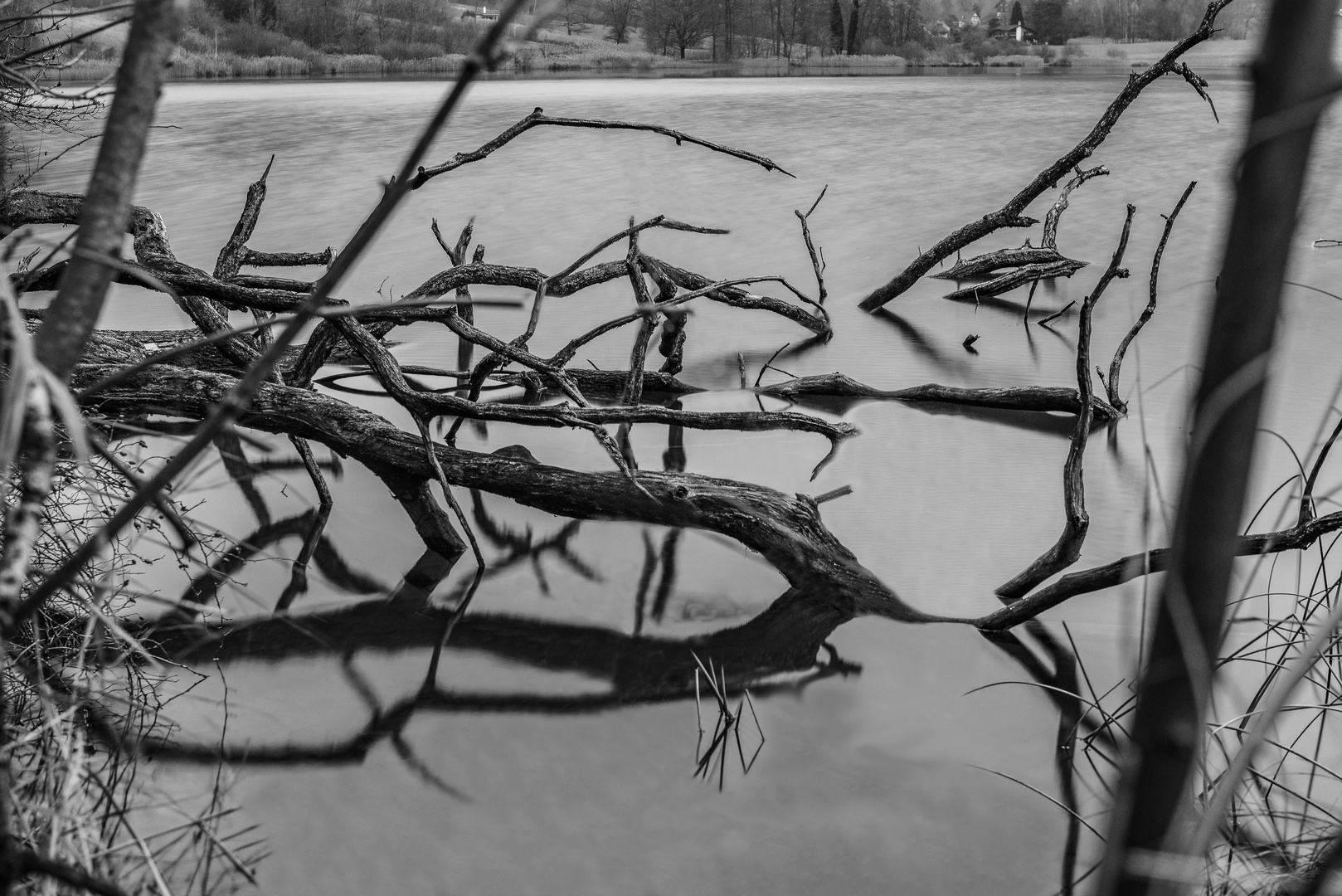 Türlersee