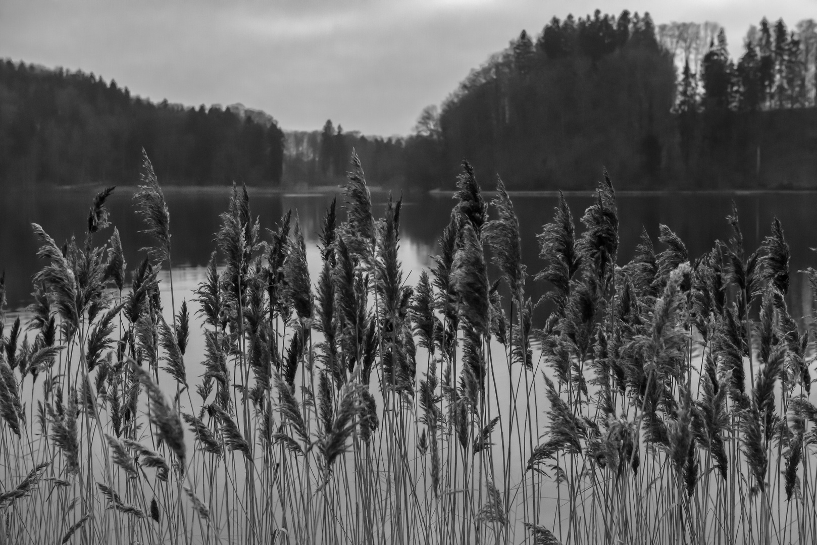 Türlersee