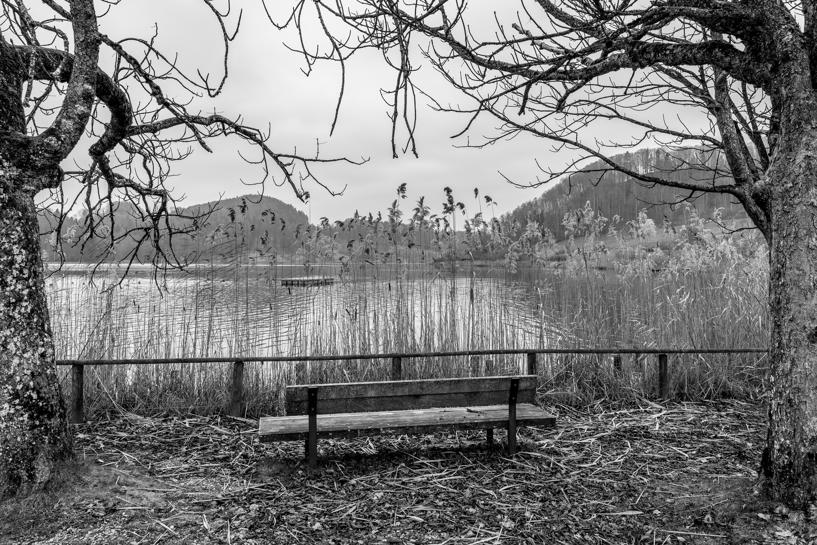 Türlersee